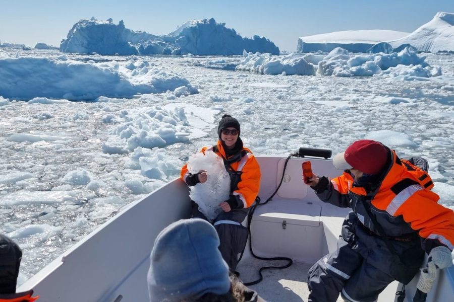 ARCTIC EXCURSIONS