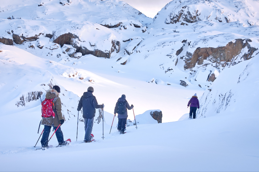 ARCTIC EXCURSIONS