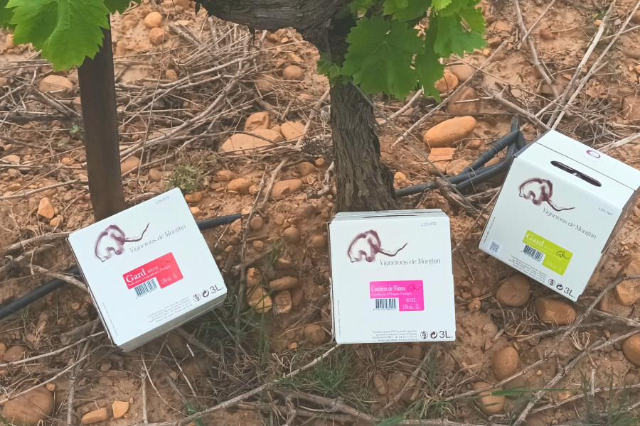 LA CAVE DES VIGNERONS DE MONTFRIN