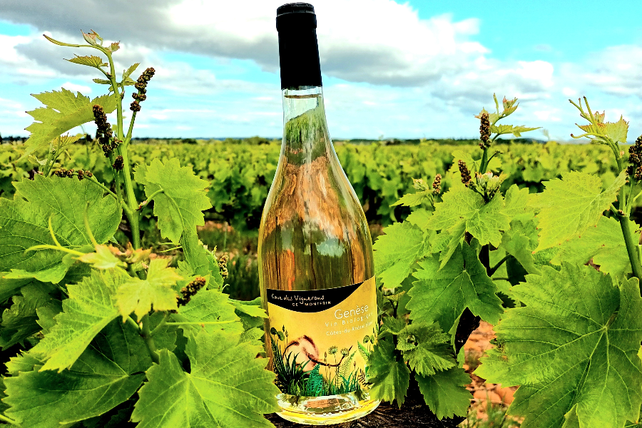 Genèse Blanc  Bio