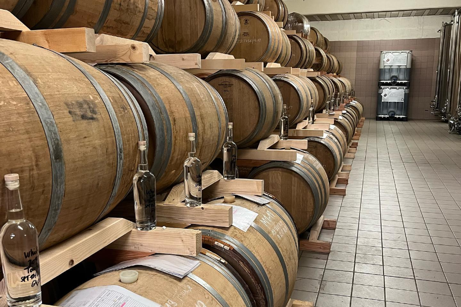 LA CAVE DE SIDONIE