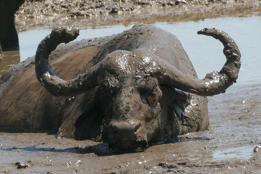 FUNDIS'AFRICA