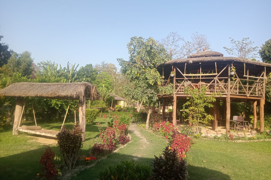 RACY SHADE RESORT