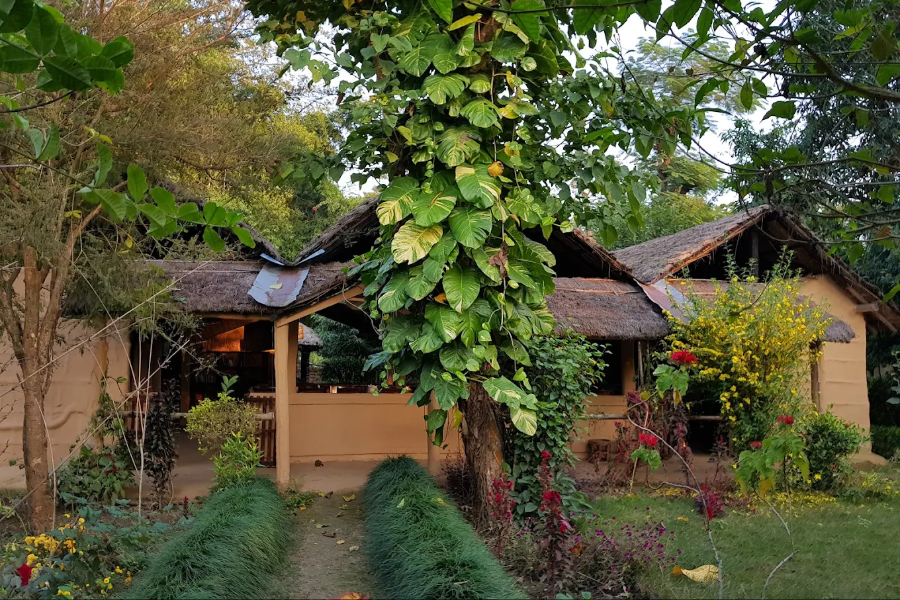 RACY SHADE RESORT