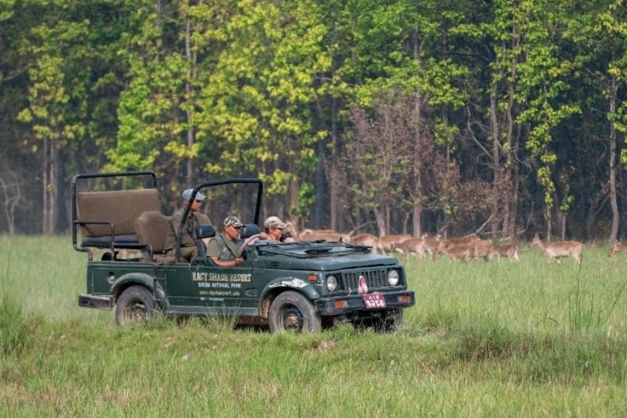 Jeep safari