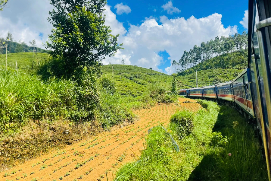 INSOLITE LANKA