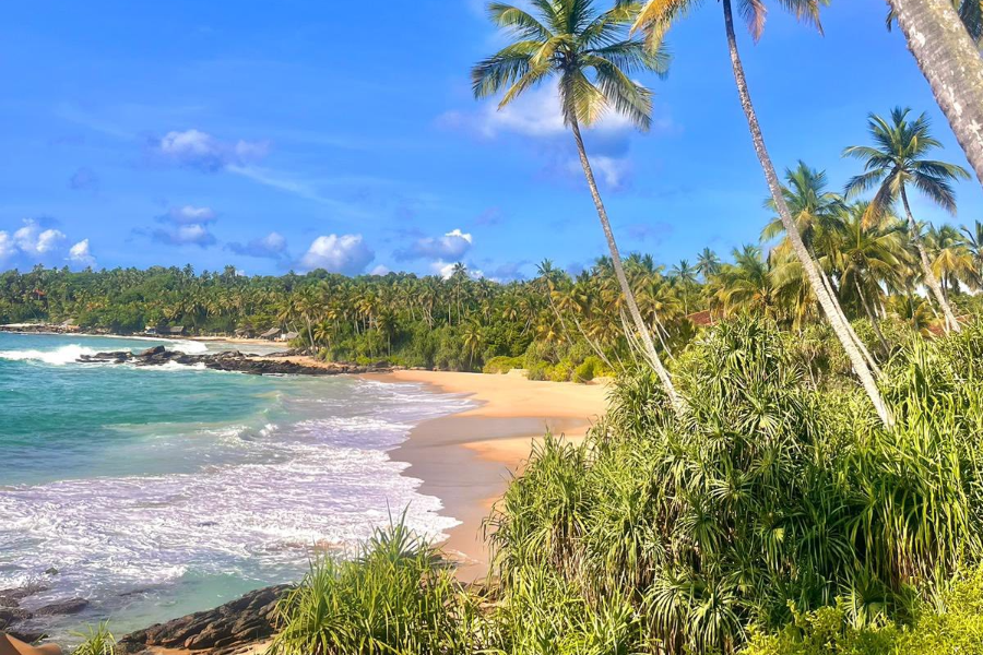 INSOLITE LANKA