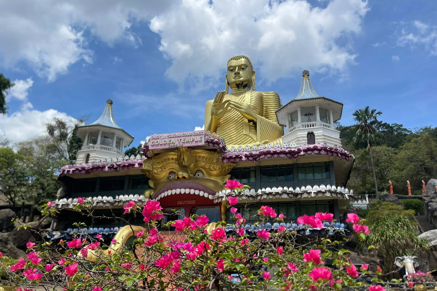INSOLITE LANKA