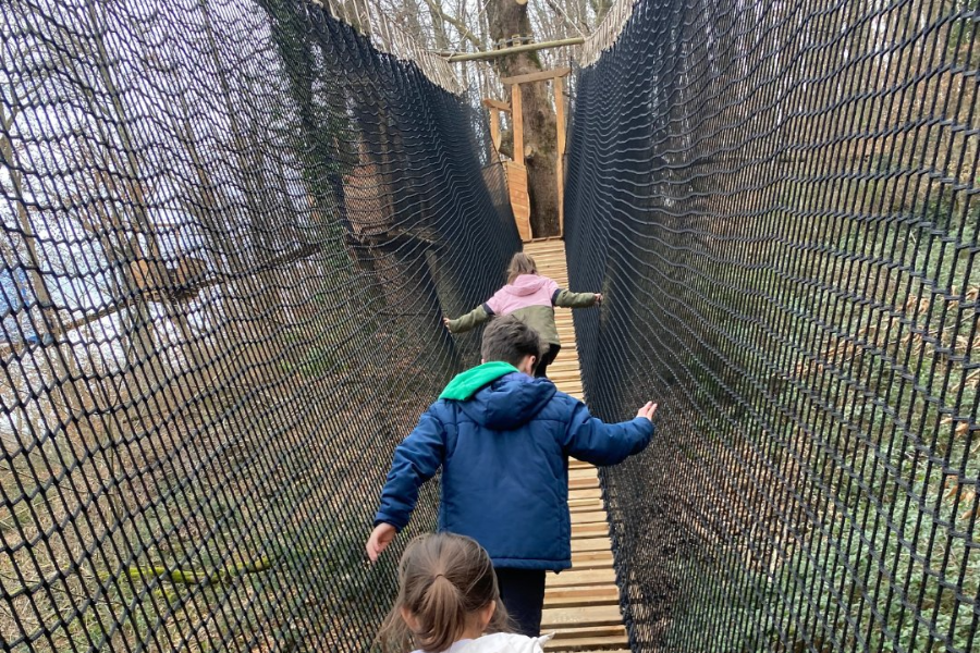 LA FORÊT DES CHAMPOS