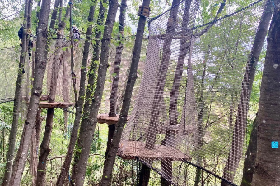 LA FORÊT DES CHAMPOS