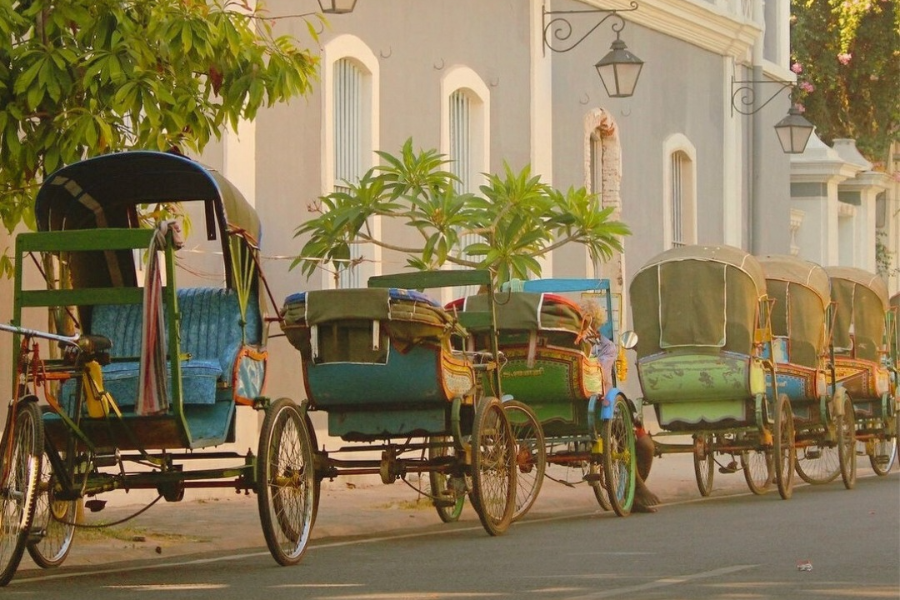 INDIA TROTTER