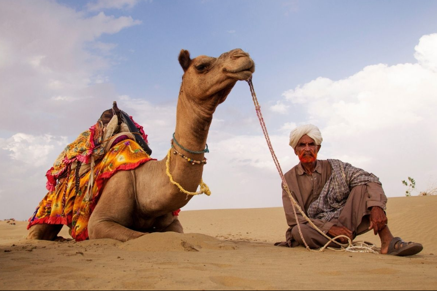 Deserts of Jaisalmer Rajasthan