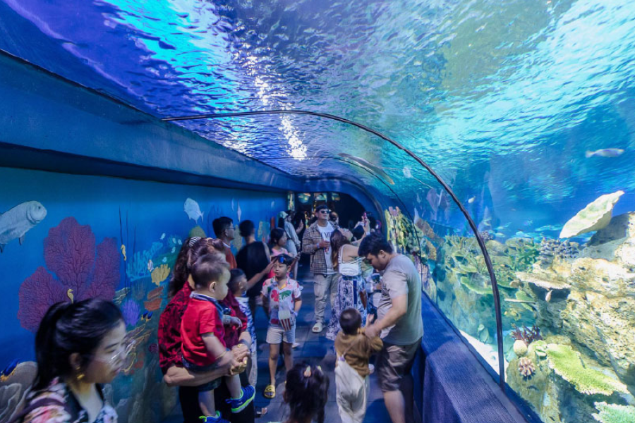 ANGKOR WILDLIFE AQUARIUM