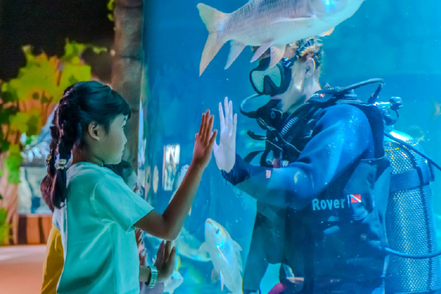 ANGKOR WILDLIFE AQUARIUM