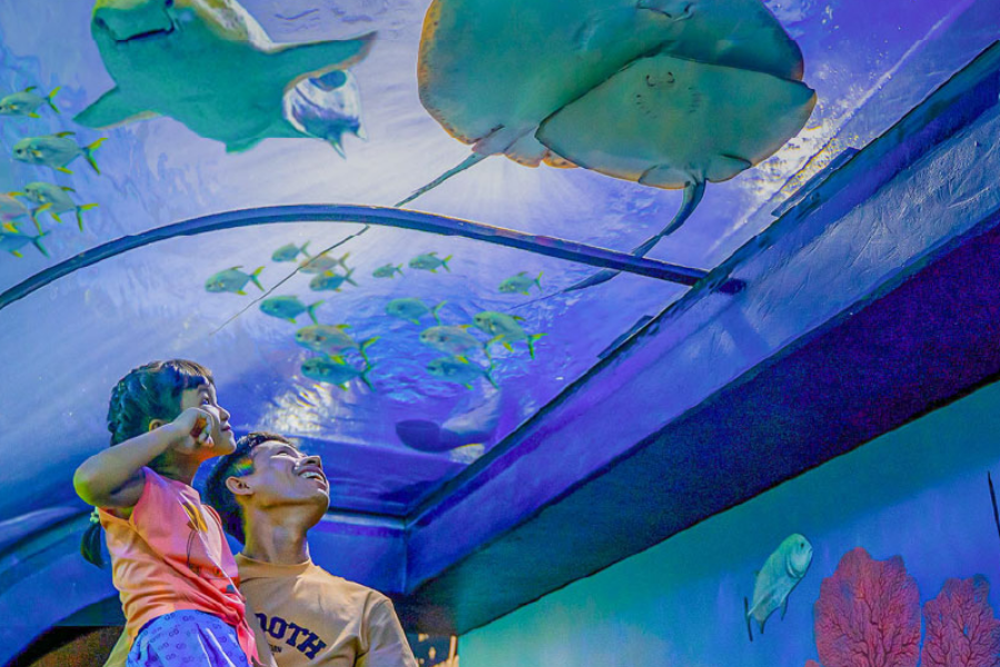 ANGKOR WILDLIFE AQUARIUM