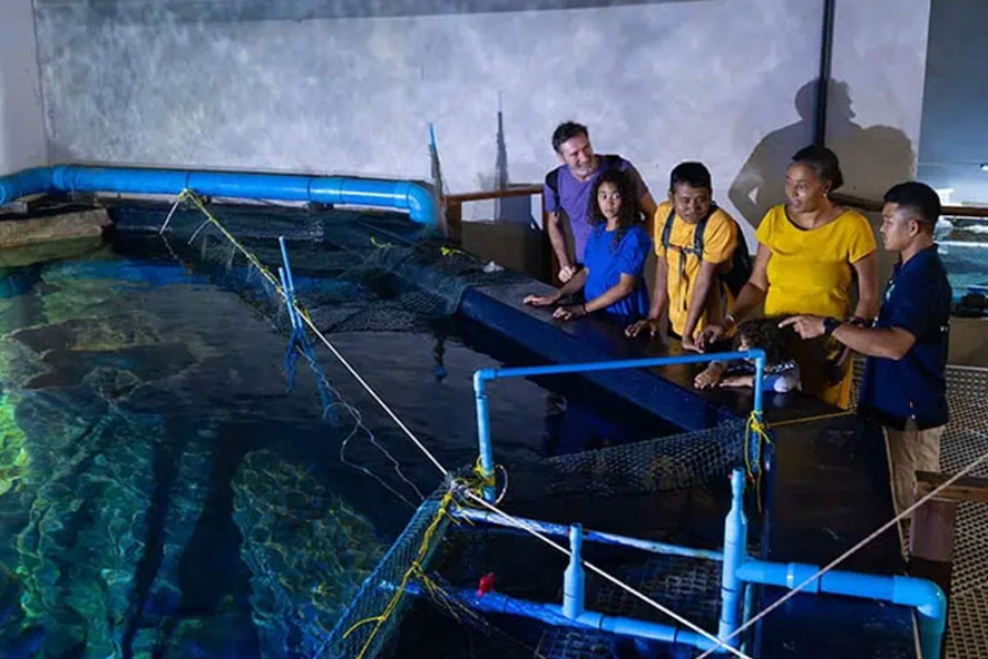ANGKOR WILDLIFE AQUARIUM