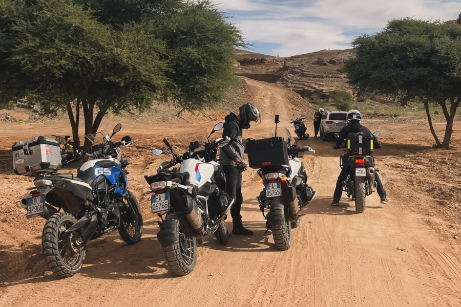 CHAMELEON MOTO