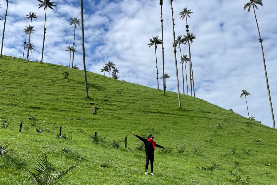 NUEVA FRONTERA COLOMBIA VALLEE DEL COCORA