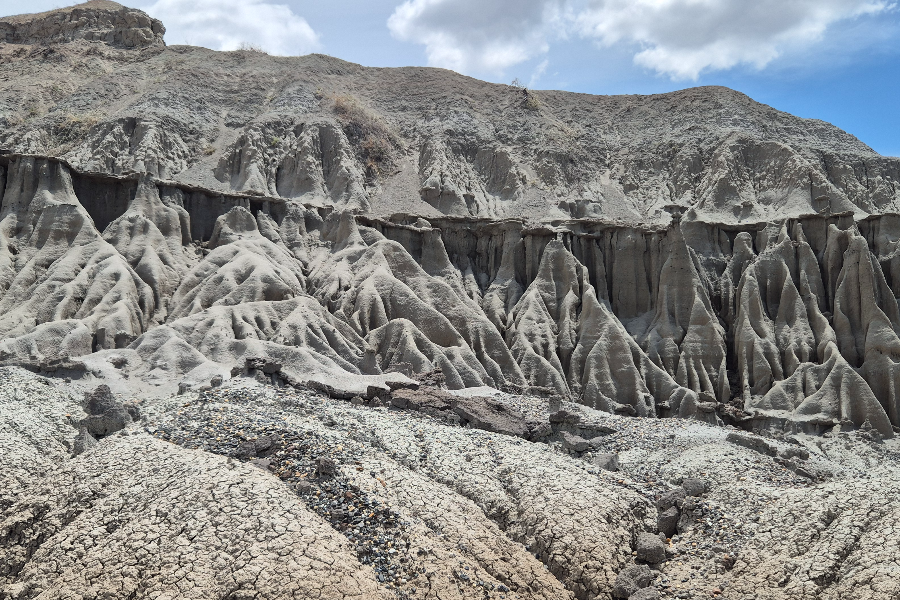 NUEVA FRONTERA COLOMBIA