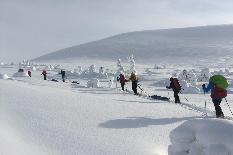 SEVEN FELLS UP