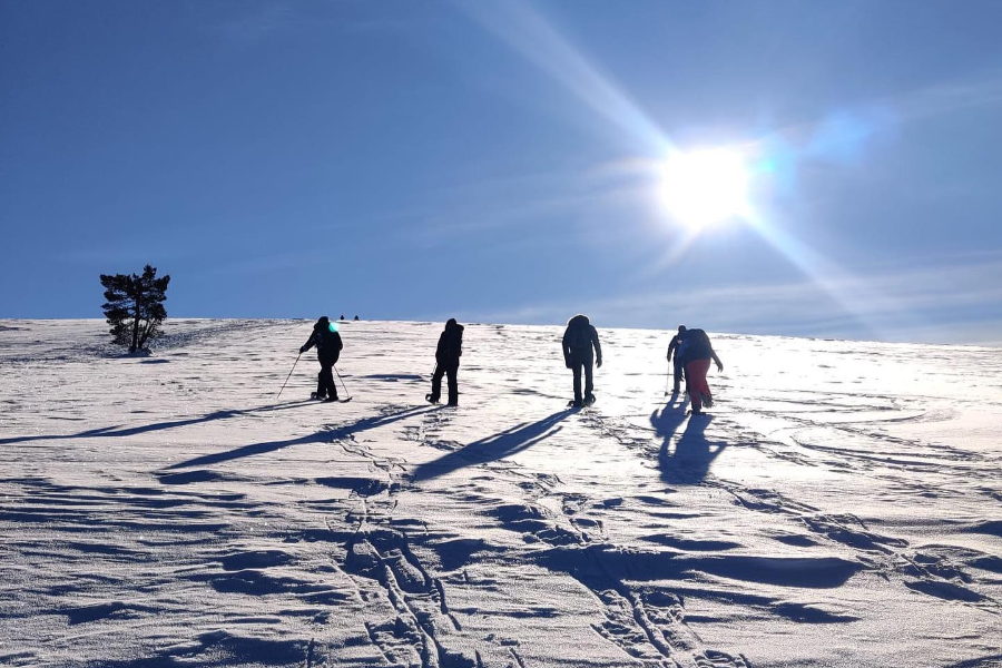 SEVEN FELLS UP