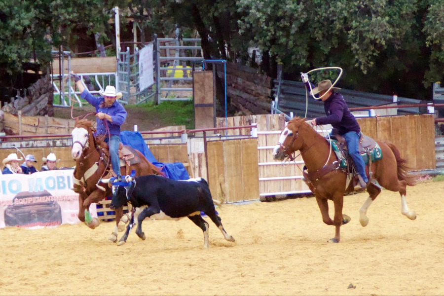 LE MEYNET RANCH