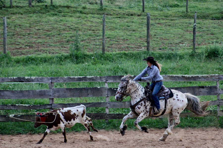 LE MEYNET RANCH