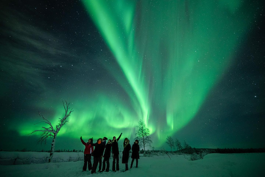 LAPLAND LODGE