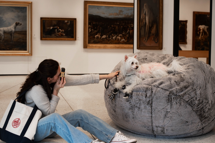 AKC MUSEUM OF THE DOG