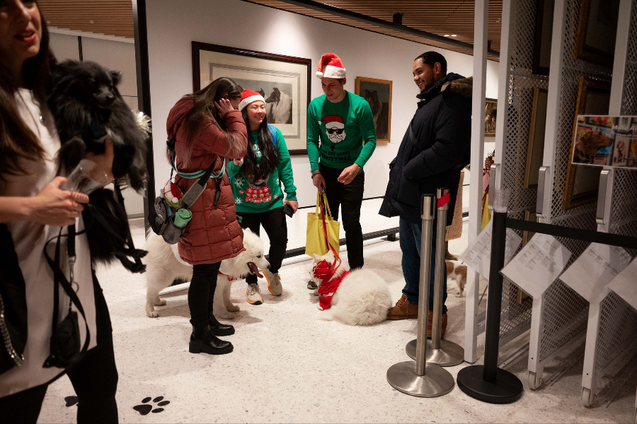 AKC MUSEUM OF THE DOG