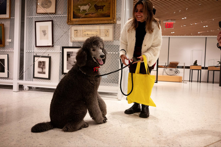 AKC MUSEUM OF THE DOG