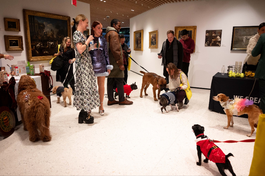 AKC MUSEUM OF THE DOG
