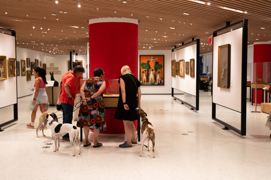 AKC MUSEUM OF THE DOG