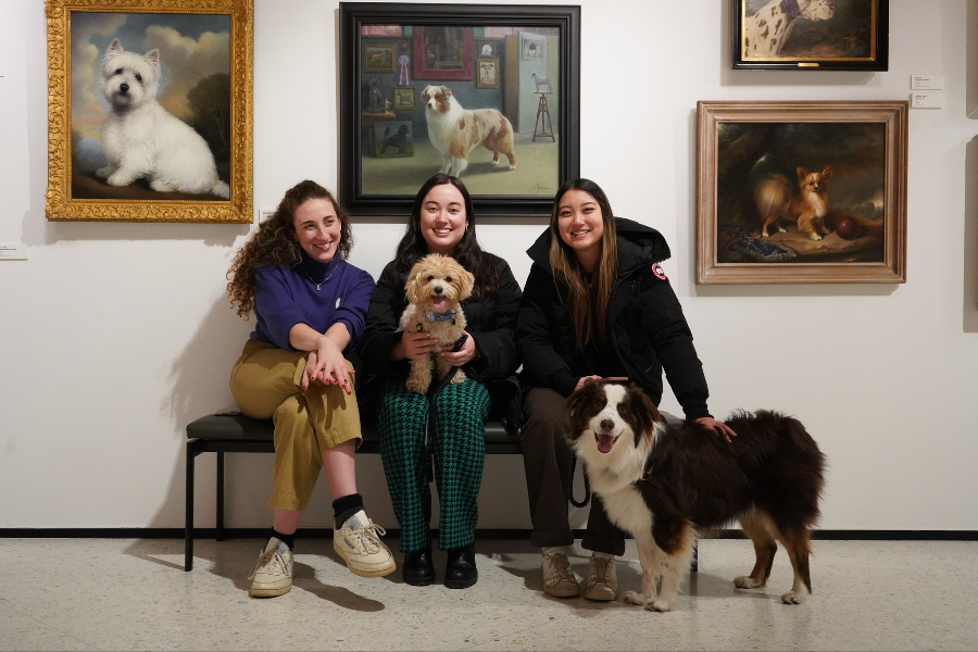 AKC MUSEUM OF THE DOG