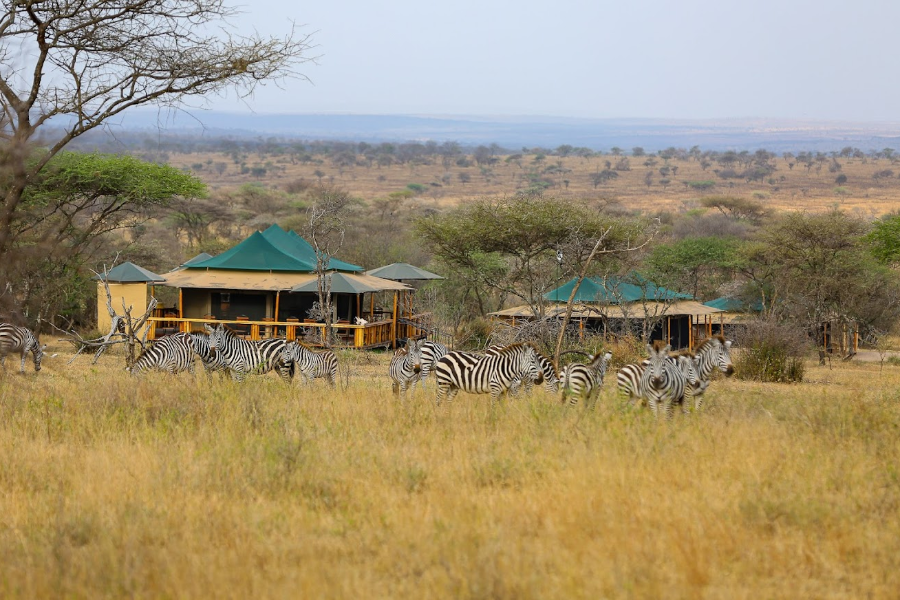 SERENGETI SOUND OF NATURE TENTED CAMP