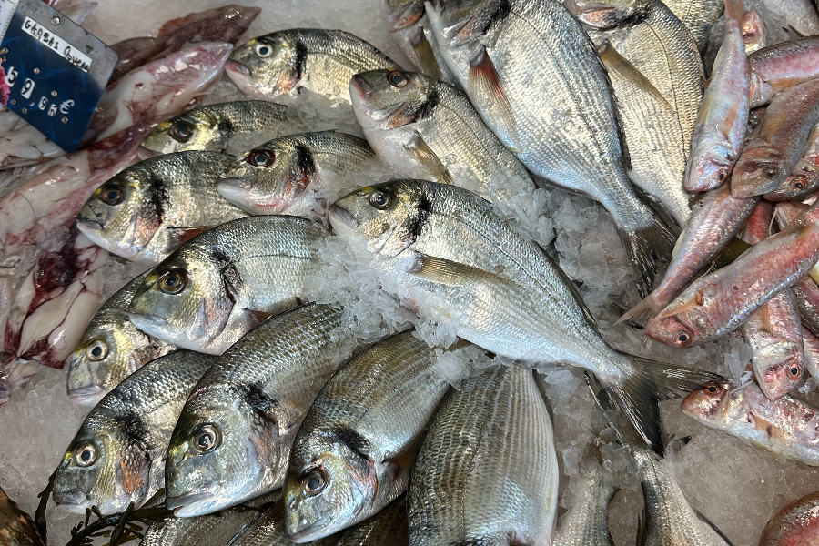 POISSONNERIE DE LA CRIÉE