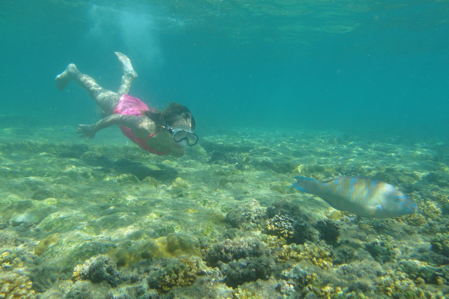 Isla Iguana (snorkeling)