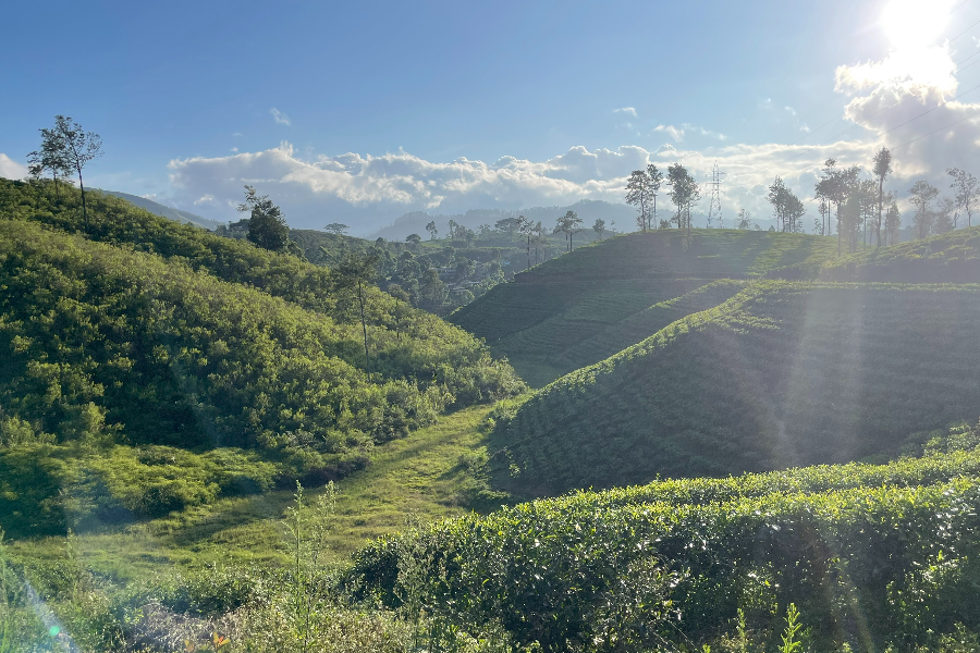 CEYLON ESCAPADE