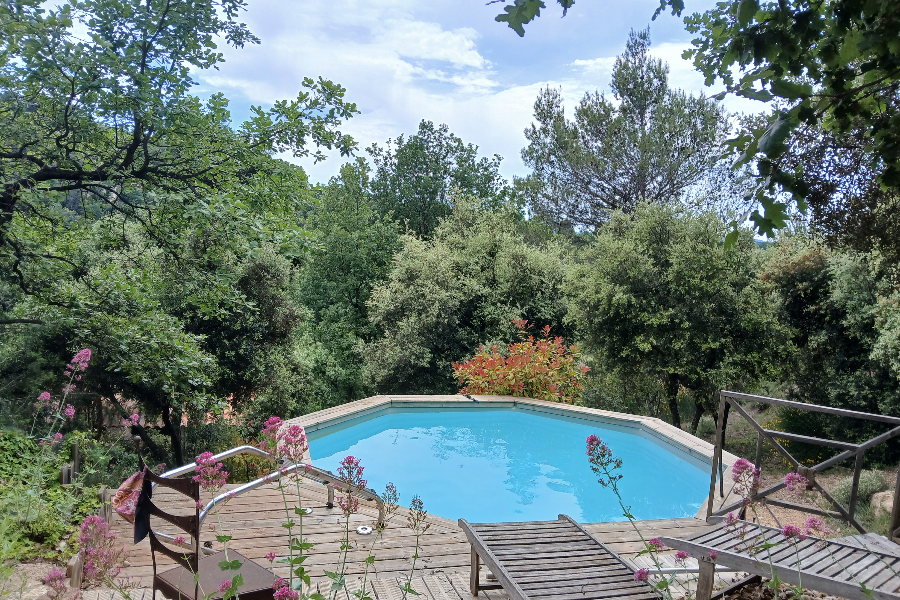 Coin piscine en pleine nature
