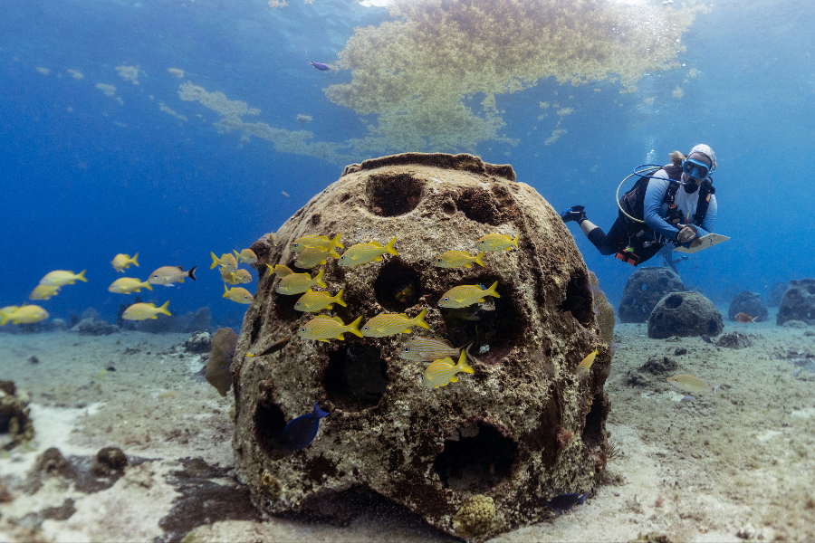 BAREFOOT DIVE CENTER