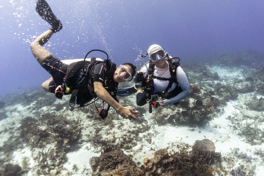 BAREFOOT DIVE CENTER