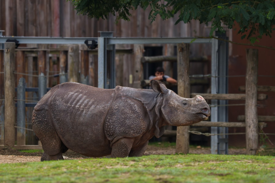 ZOO DE LA FLÈCHE