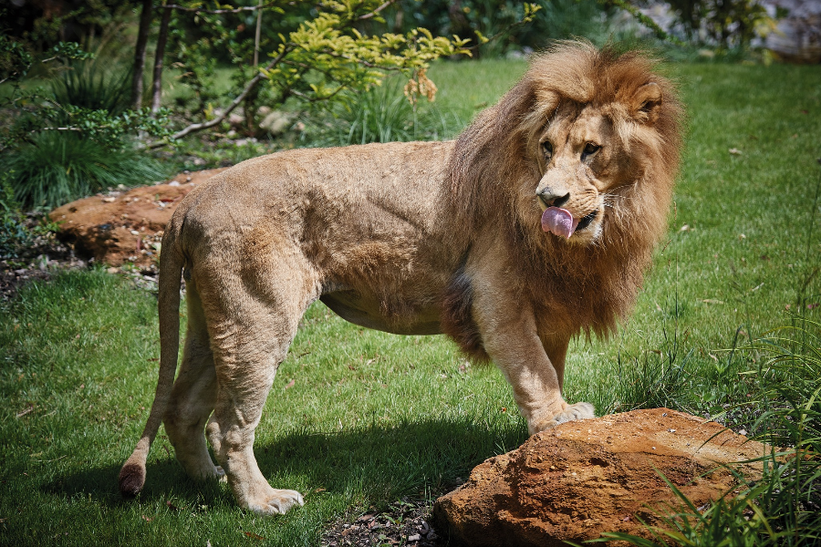 ZOO DE LA FLÈCHE