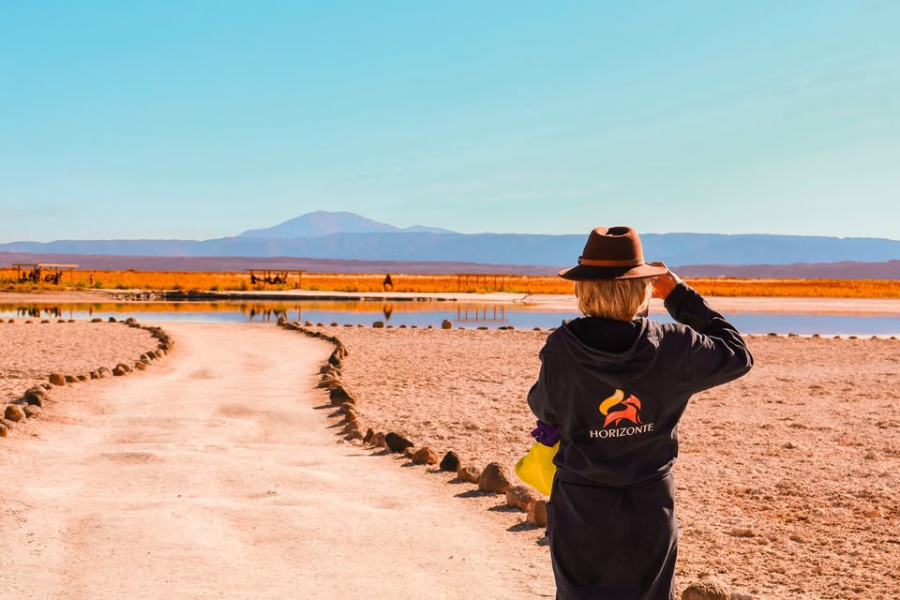 HORIZONTE ATACAMA