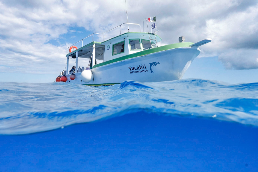 PLONGÉE GRAND COZUMEL