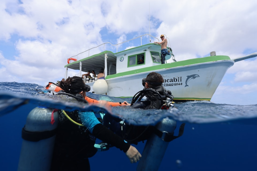 PLONGÉE GRAND COZUMEL