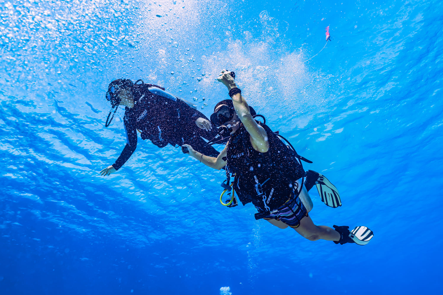 PLONGÉE GRAND COZUMEL