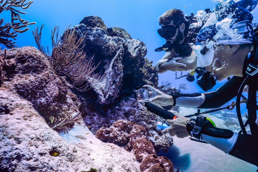 PLONGÉE GRAND COZUMEL