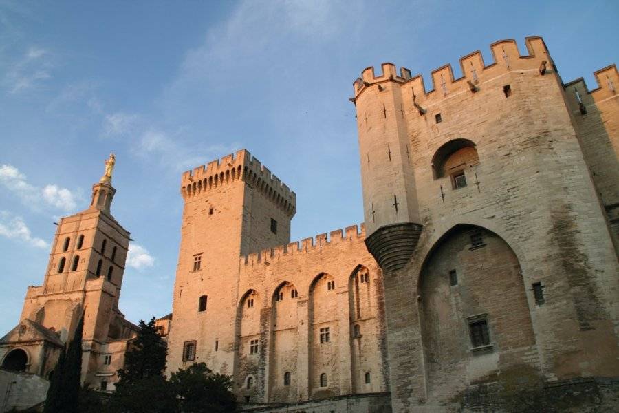 Palais Des Papes Palais Avignon 84000