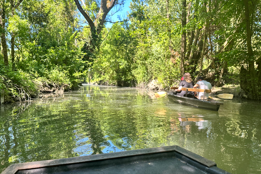 Barque dans le marais sauvage - ©Pauline Beltran